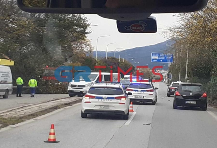 Δέντρο Θεσσαλονίκη 
