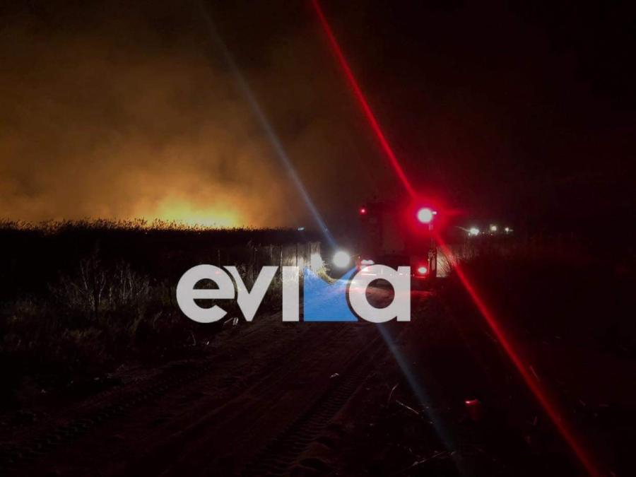 Φωτιά Εύβοια