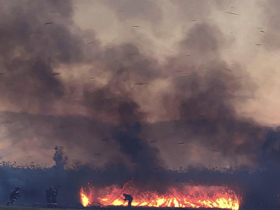 Πυροσβέστες επιχειρούν στην κατάσβεση της φωτιάς που ξέσπασε το μεσημέρι της Δευτέρας του Πάσχα σε δασική έκταση στην Προσύμνη Αργολίδας, Δευτέρα 6 Μαΐου 2024. 