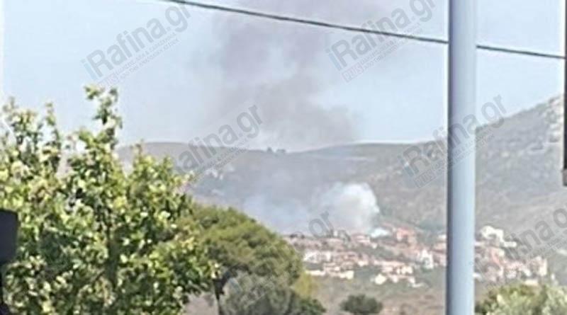 ΦΩΤΙΑ ΝΤΑΟΥ ΠΕΝΤΕΛΗ