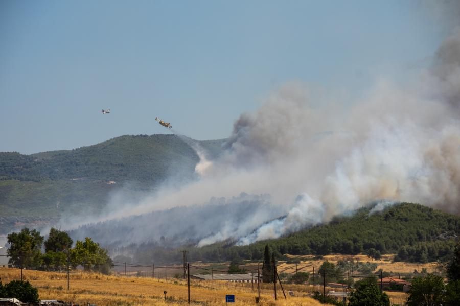 Φωτιά στην Εύβοια
