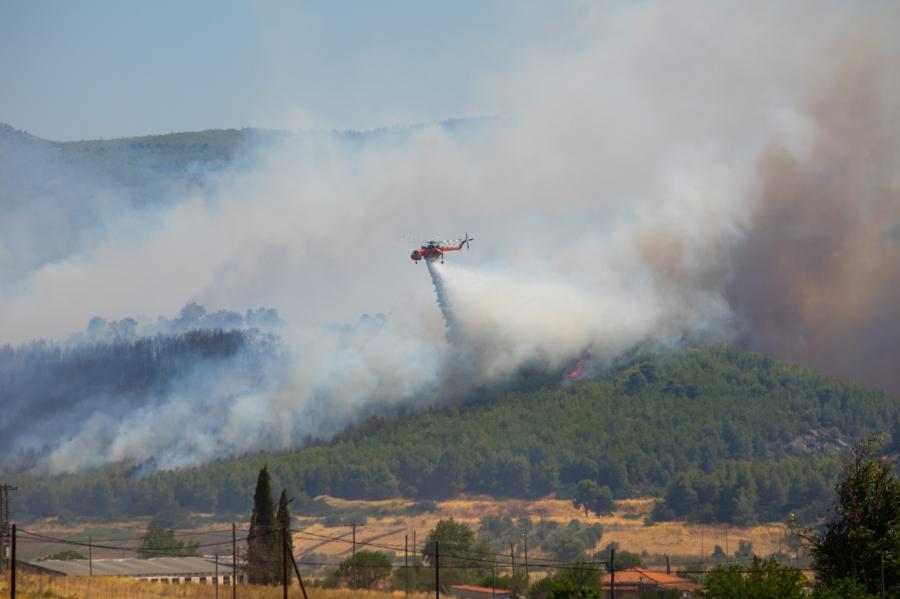 Φωτιά στην Εύβοια