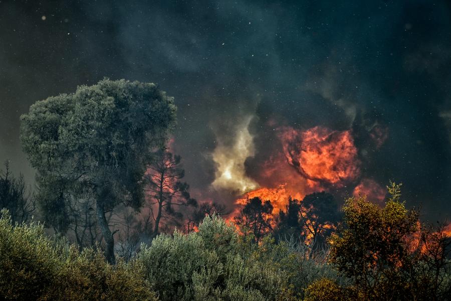 Φωτιά στο Σοφικό