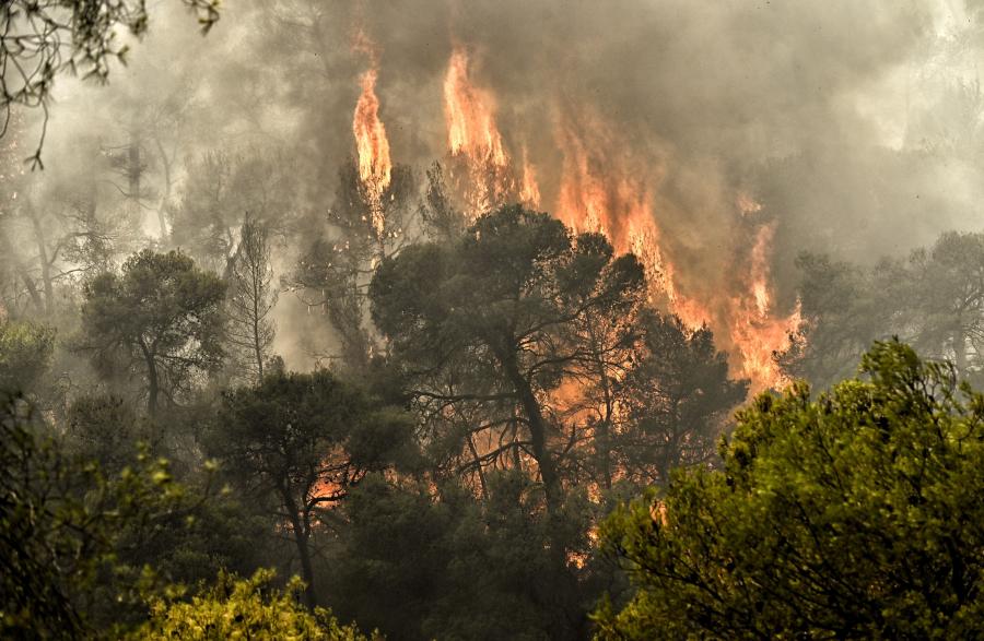 Φωτιά στο Σοφικό