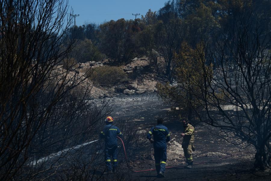 Πυροσβέστες πάνω από τα καμένα