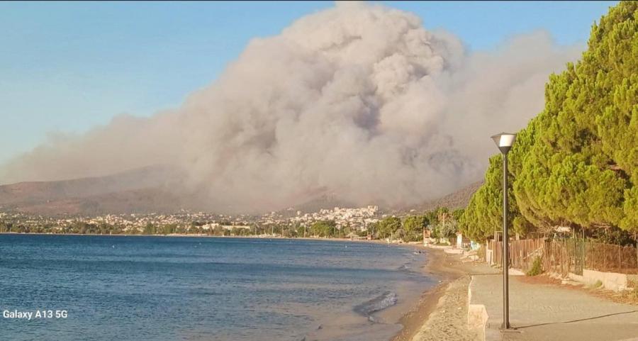 ΦΩΤΙΑ ΝΕΑ ΜΑΚΡΗ