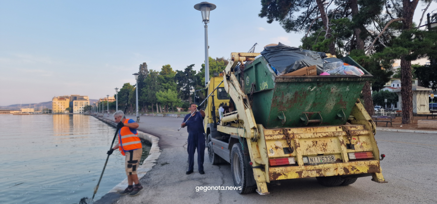 Νεκρά ψάρια