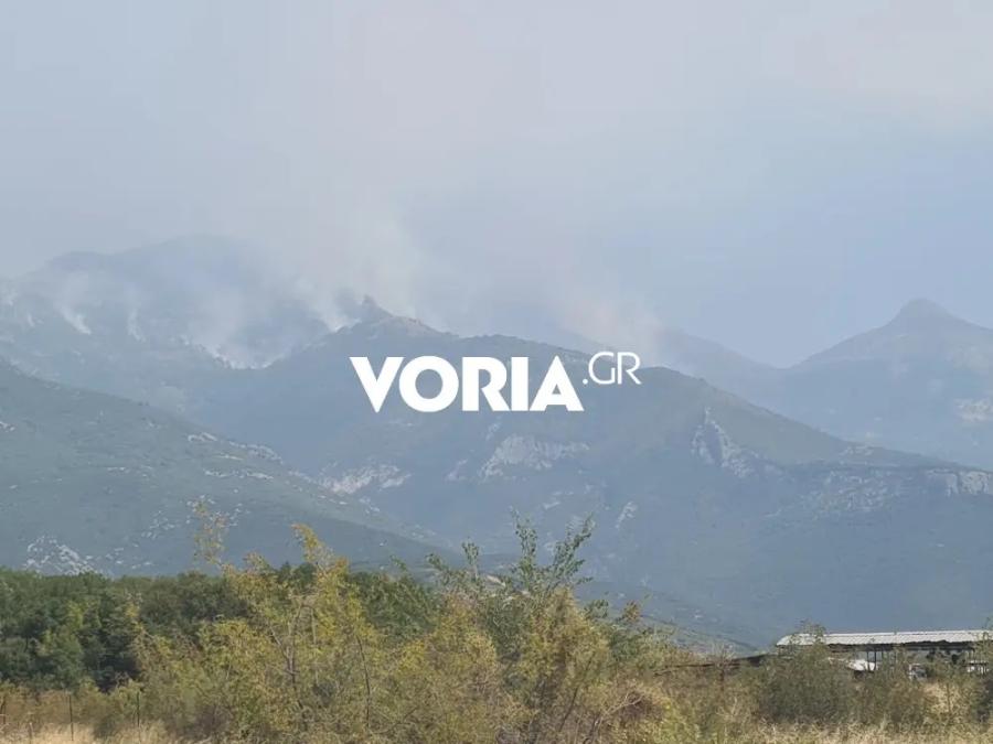 Φωτιά στο Παγγαίο όρος στην Καβάλα