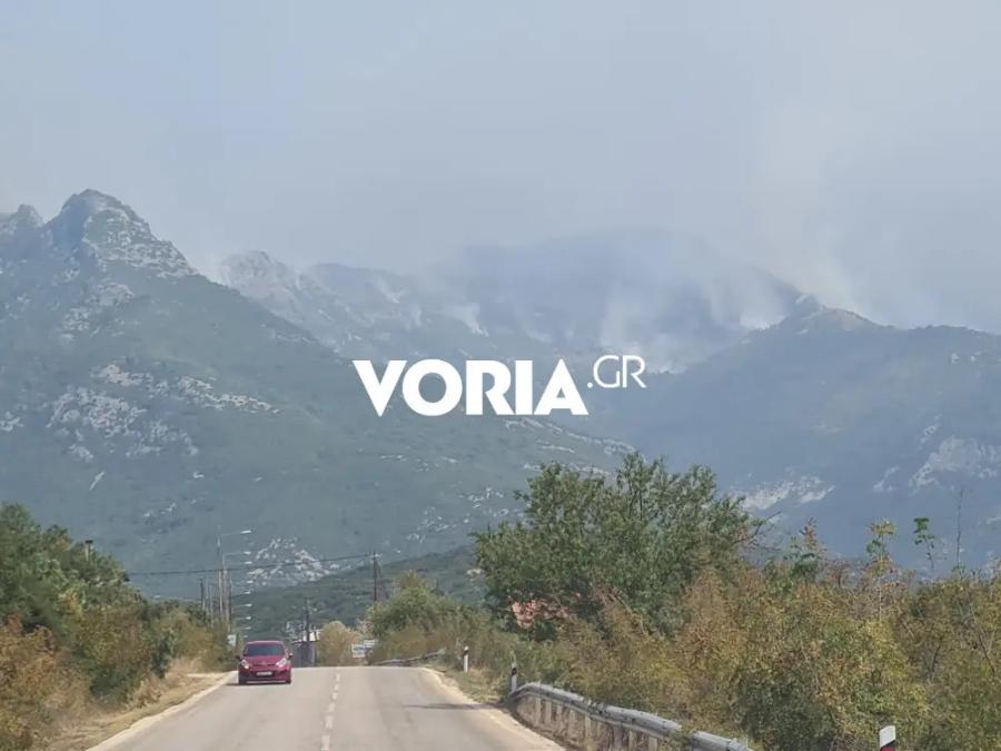 Φωτιά στο Παγγαίο όρος στην Καβάλα