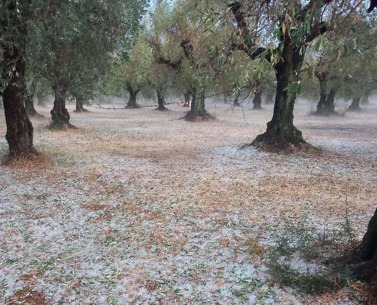 Καταστροφές στην Καμαρούλα Αγρινίου