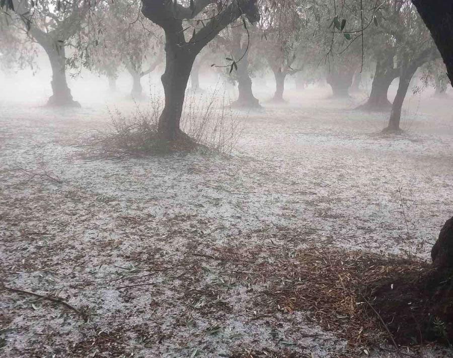 Καταστροφές στην Καμαρούλα Αγρινίου