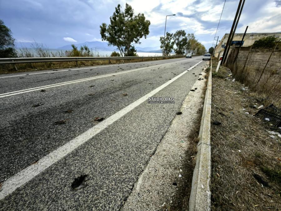 Νεκρά πουλιά στην Αργολίδα