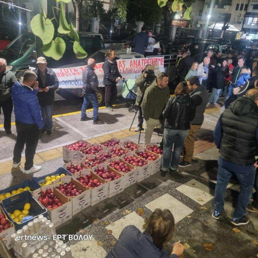 ΔΙΑΜΑΡΤΥΡΙΑ ΑΓΡΟΤΩΝ ΠΗΛΙΟ