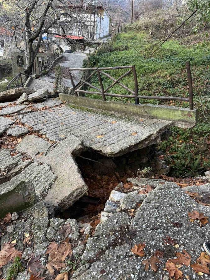Ο Αλέξανδρος Μεϊκόπουλος στη Δράκεια