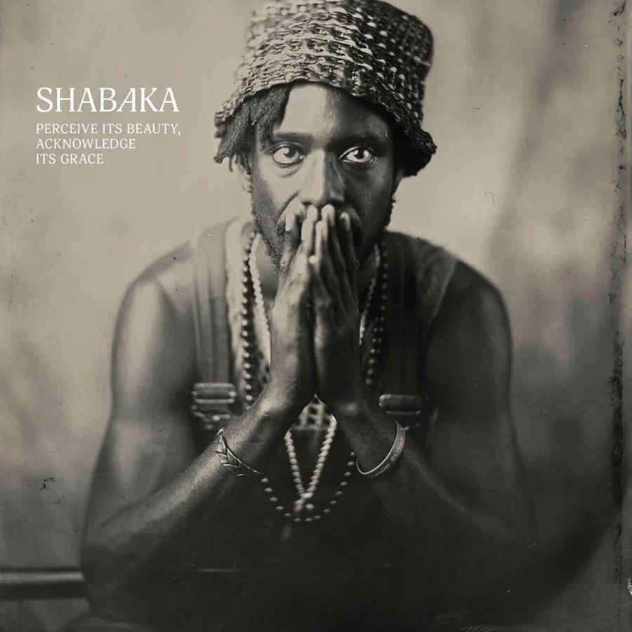 shabak