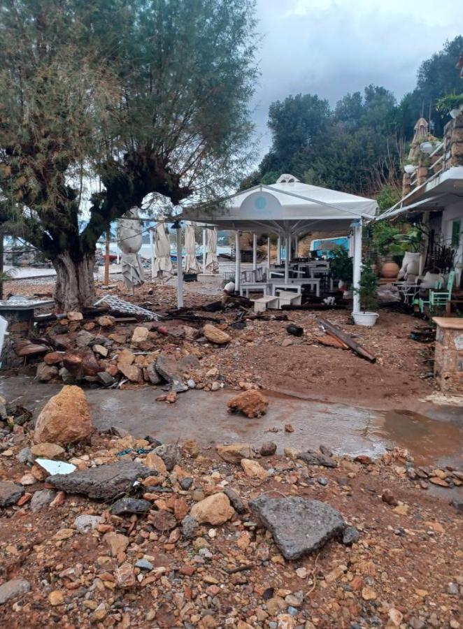 ΚΙΤΡΙΕΣ ΜΑΝΗ ΚΑΤΑΣΤΡΟΦΕΣ