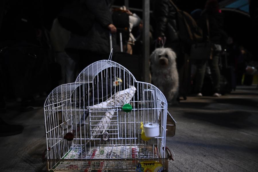 ΣΑΝΤΟΡΙΝΗ ΠΛΟΙΟ ΟΥΡΕΣ