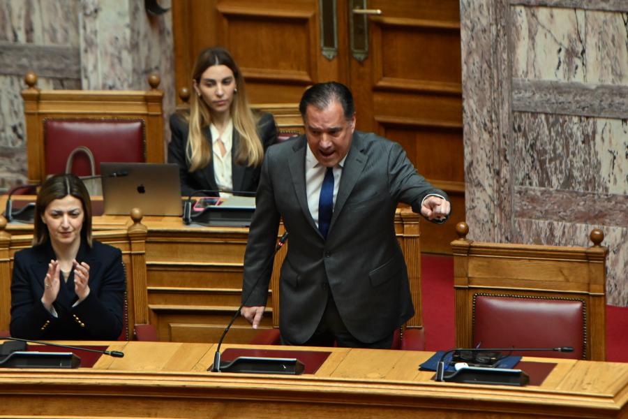 Ο Άδωνις Γεωργιάδης στη Βουλή