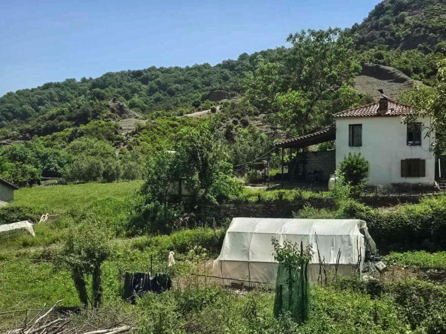 Έγκλημα στην Αμφιλοχία