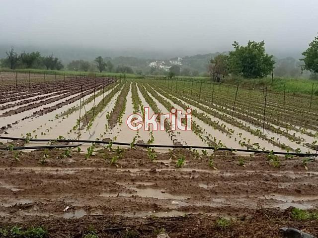 Πλημμύρες στο Οροπέδιο Λασιθίου