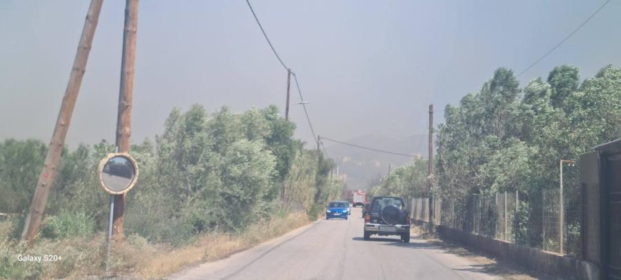 Φωτιά στην Ανάβυσσο