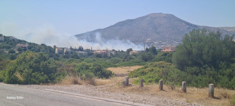 Φωτιά στην Ανάβυσσο