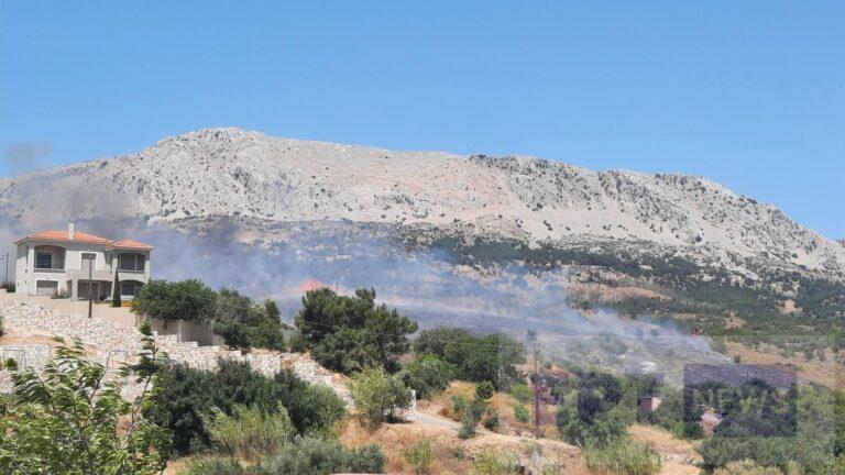 Φωτιά στην περιοχή Κοφινάς της Χίου