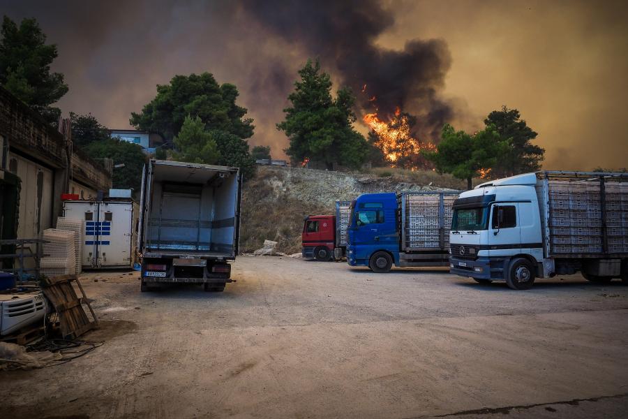 Πυρκαγιά στην Εύβοια στη θέση Παραγάλη ανάμεσα στα χωριά Τριάδα και Πισσώνα του Δήμου Διρφύων-Μεσσαπίων, Σάββατο 26 Ιουλίου 2025