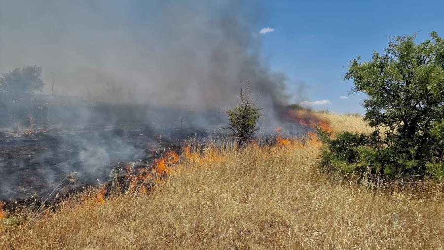 Φωτιά στην Κοζάνη