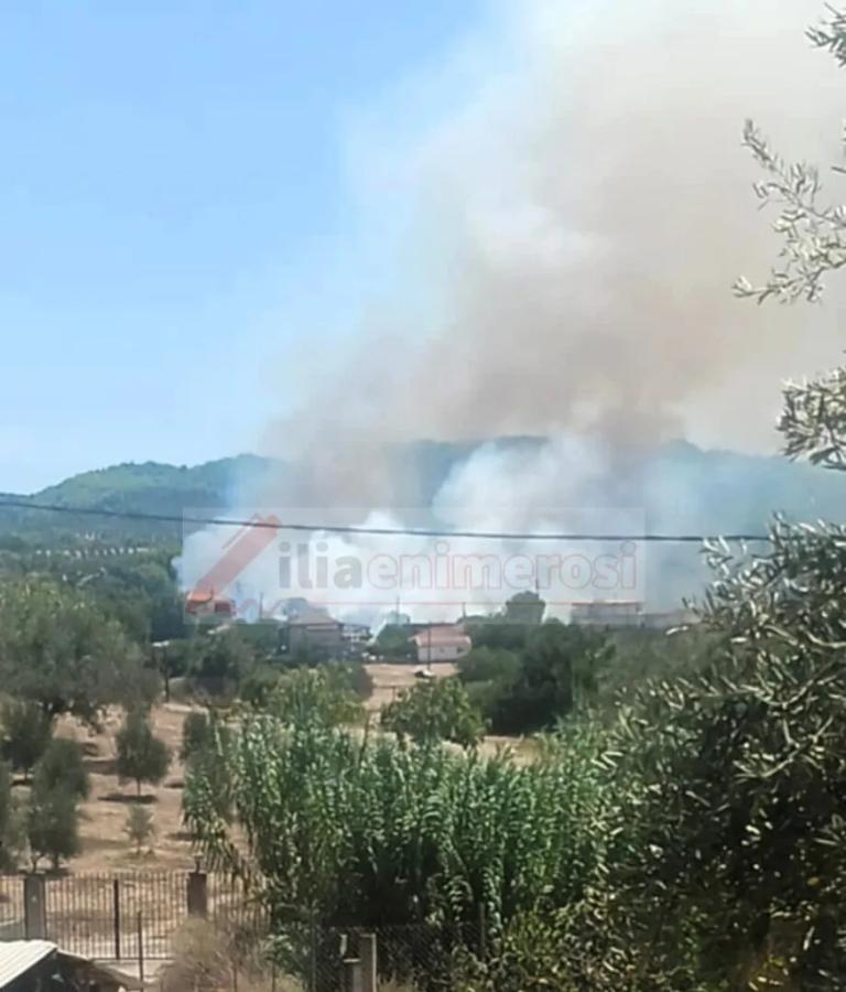 Φωτιά στον Ελαιώνα Ηλείας