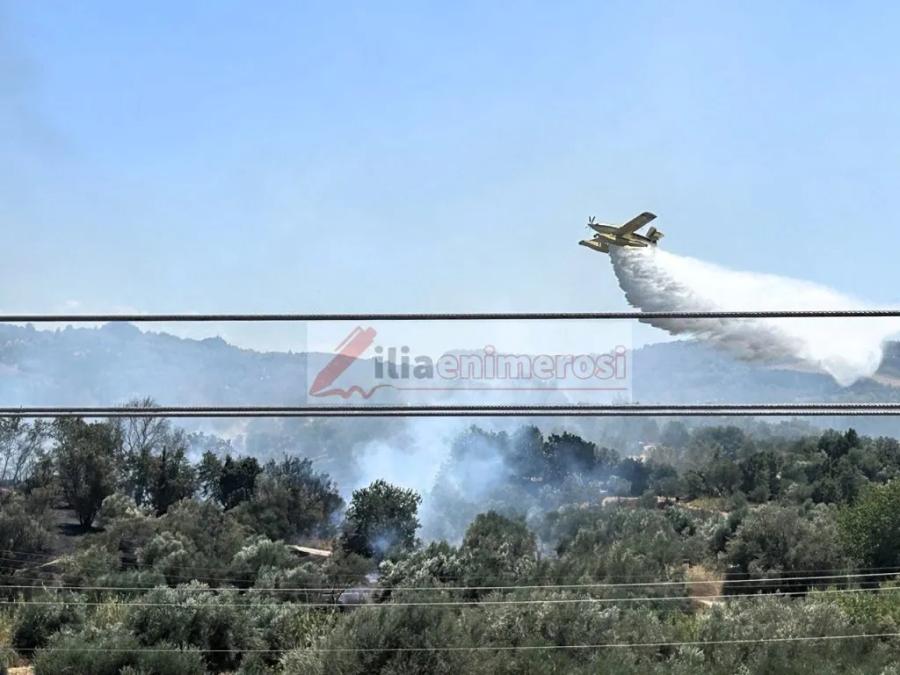 Φωτιά στον Ελαιώνα Ηλείας