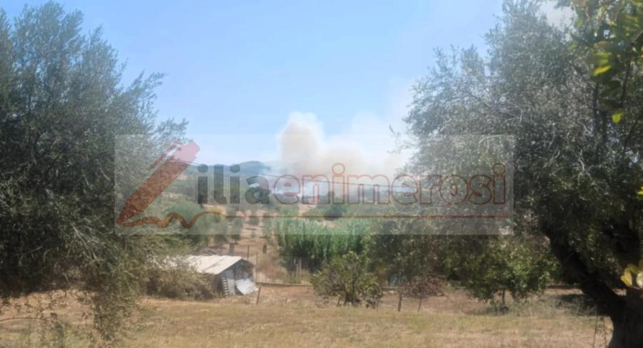 Φωτιά στον Ελαιώνα Ηλείας