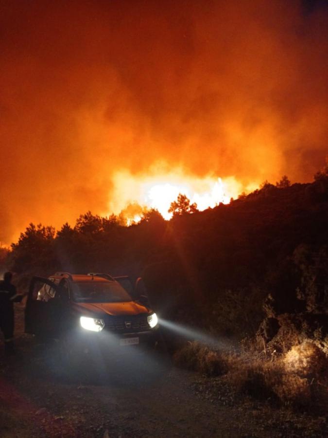 Ολονύχτια μάχη με τις φλόγες στα Καμπιά της Χίου