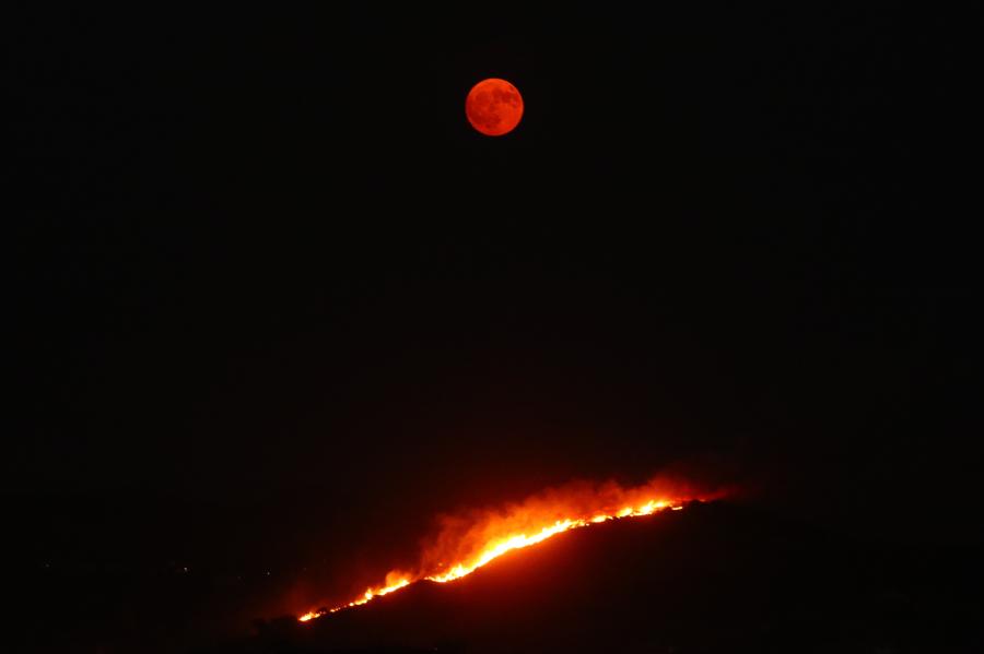 Φωτιά στην Κερατέα