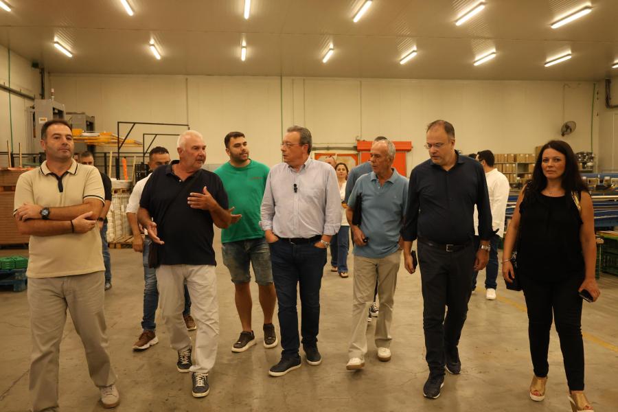 ΦΑΜΕΛΛΟΣ