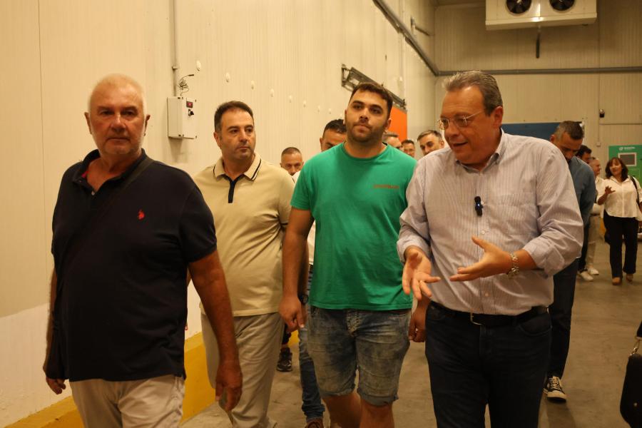 ΦΑΜΕΛΛΟΣ
