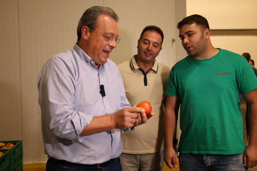 ΦΑΜΕΛΛΟΣ