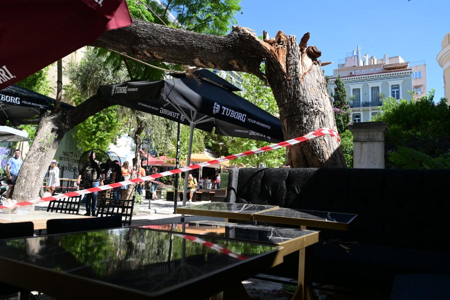 Πτώση δέντρου στην πλατεία Αγίας Ειρήνης, στο κέντρο της Αθήνας