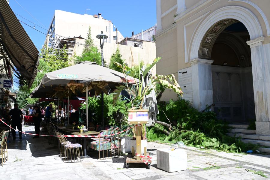 Πτώση δέντρου στην πλατεία Αγίας Ειρήνης, στο κέντρο της Αθήνας