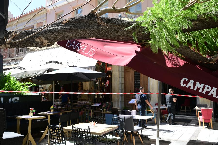 Πτώση δέντρου στην πλατεία Αγίας Ειρήνης, στο κέντρο της Αθήνας