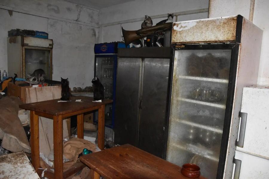 ΚΑΚΟΠΟΙΗΜΕΝΕΣ ΓΑΤΕΣ