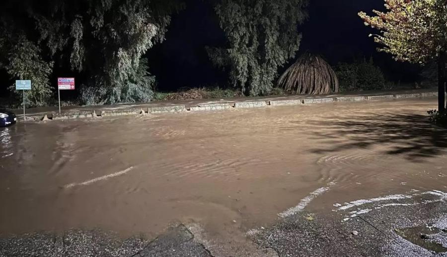 Καλλονή 1