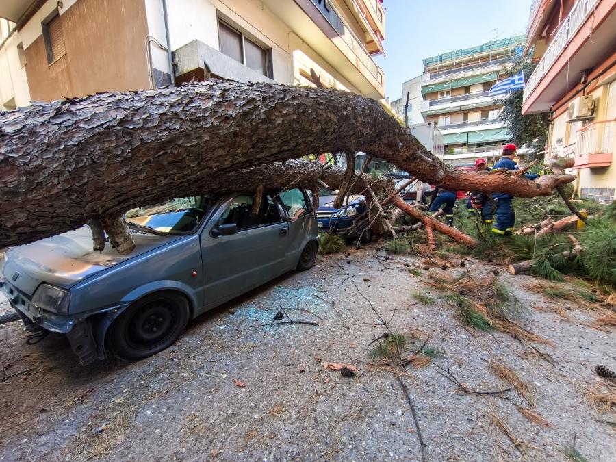 Δέντρο καταπλάκωσε αυτοκίνητα στη Θεσσαλονίκη