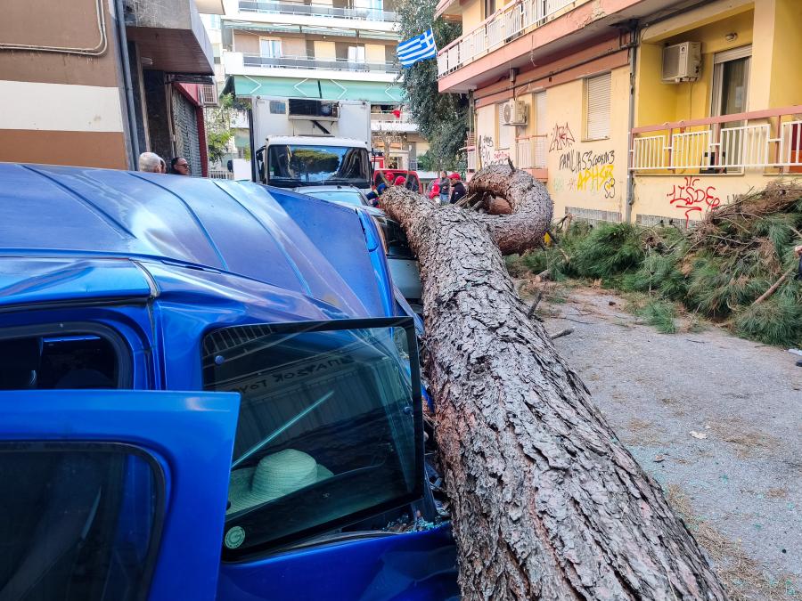 Δέντρο καταπλάκωσε αυτοκίνητα στη Θεσσαλονίκη