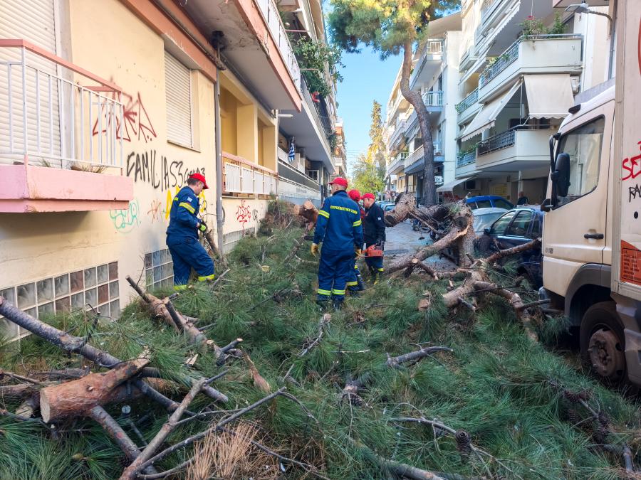 Δέντρο καταπλάκωσε αυτοκίνητα στη Θεσσαλονίκη