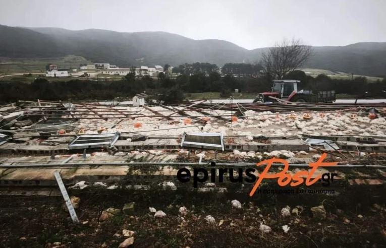 ΠΤΗΝΟΤΡΟΦΙΚΗ ΜΟΝΑΔΑ ΑΝΕΜΟΣΤΡΟΒΙΛΟΣ
