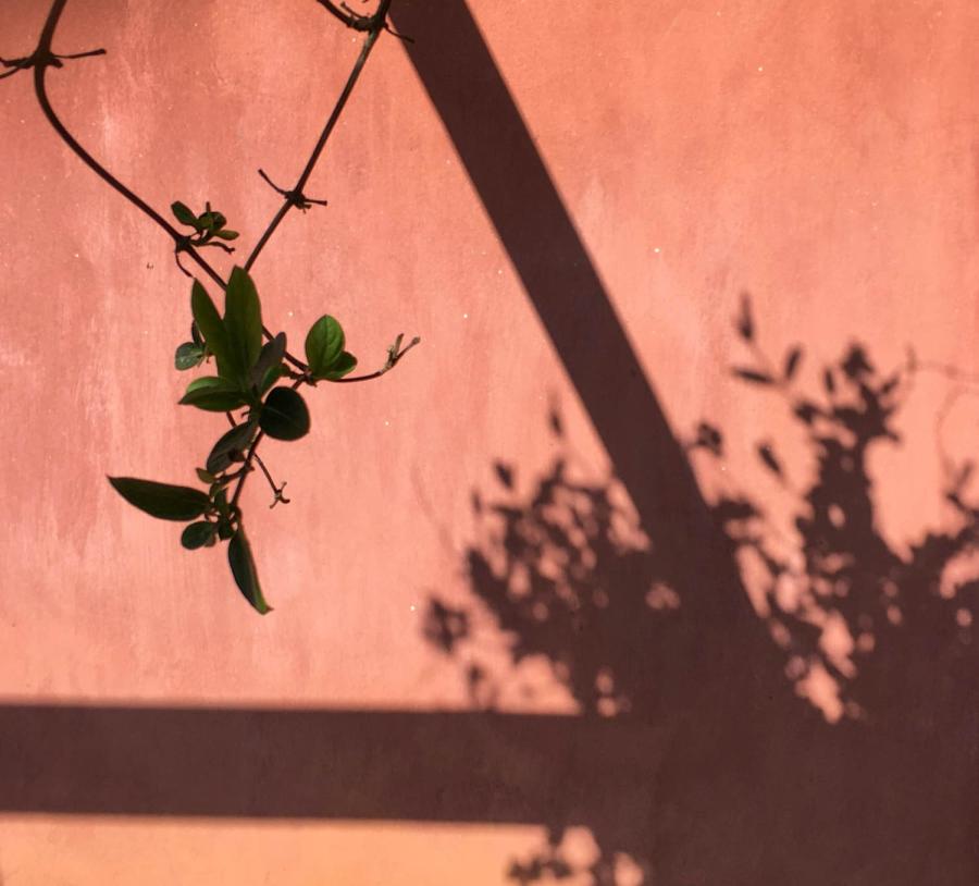 Από την έκθεση Κρυφός Κήπος/ Secret garden της ΄Ενης Κούκουλα
