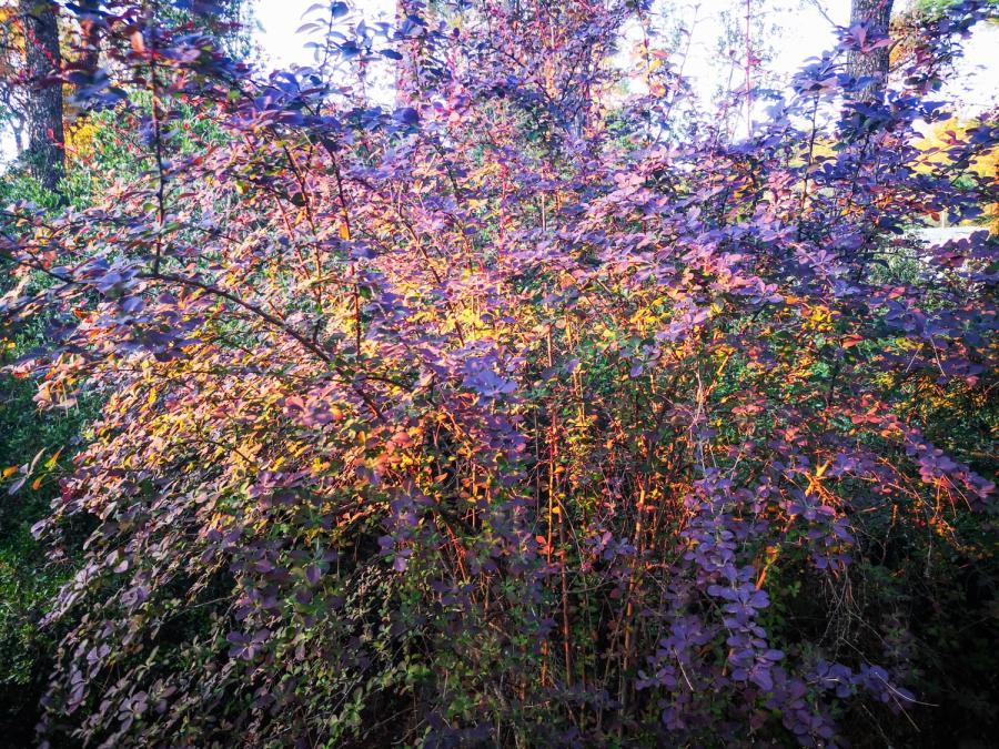 Από την έκθεση Κρυφός Κήπος/ Secret garden της ΄Ενης Κούκουλα