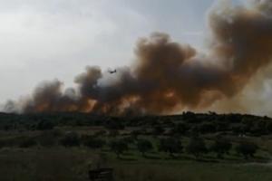 ΦΩΤΙΑ ΖΑΚΥΝΘΟΣ