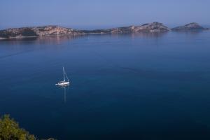 ΙΣΤΙΟΦΟΡΟ